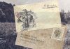 Erzincanlı Hasan Çavuş – 1915 yılında yaşanan gerçek bir kahramanlık hikayesi