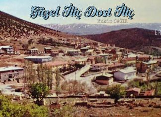 Güzel İliç Dost İliç