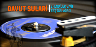 Davut Sulari – Efendiler Bağı Beş Gül Ağacı (45’lik Plak)