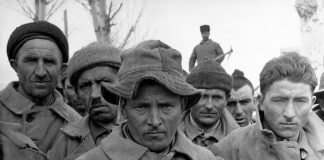 1939 Erzincan Depremi’nde Dört Can Kurtaran Kütahyalı Recep’in Hazin Hikayesi