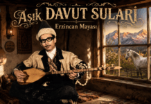 Aşık Davut Sulari – Erzincan Mayası | 45’lik Plak