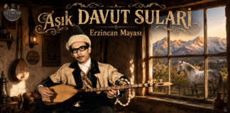 Aşık Davut Sulari – Erzincan Mayası | 45’lik Plak