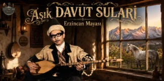 Aşık Davut Sulari – Erzincan Mayası | 45’lik Plak